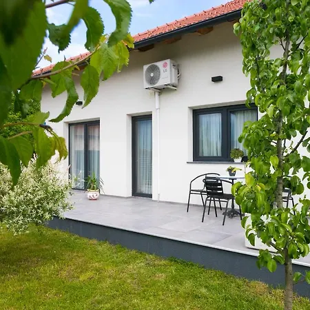 فيلة Libera بيهاتش